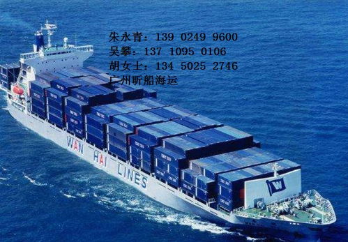 广州 中国南方运输代理枢纽的发展与未来