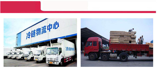 深圳冷链运输与物流配送服务指南